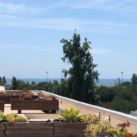 Beautiful Penthouse Apartment With Terrace - 4 Minute Walk To The Beach ترويا المظهر الخارجي الصورة